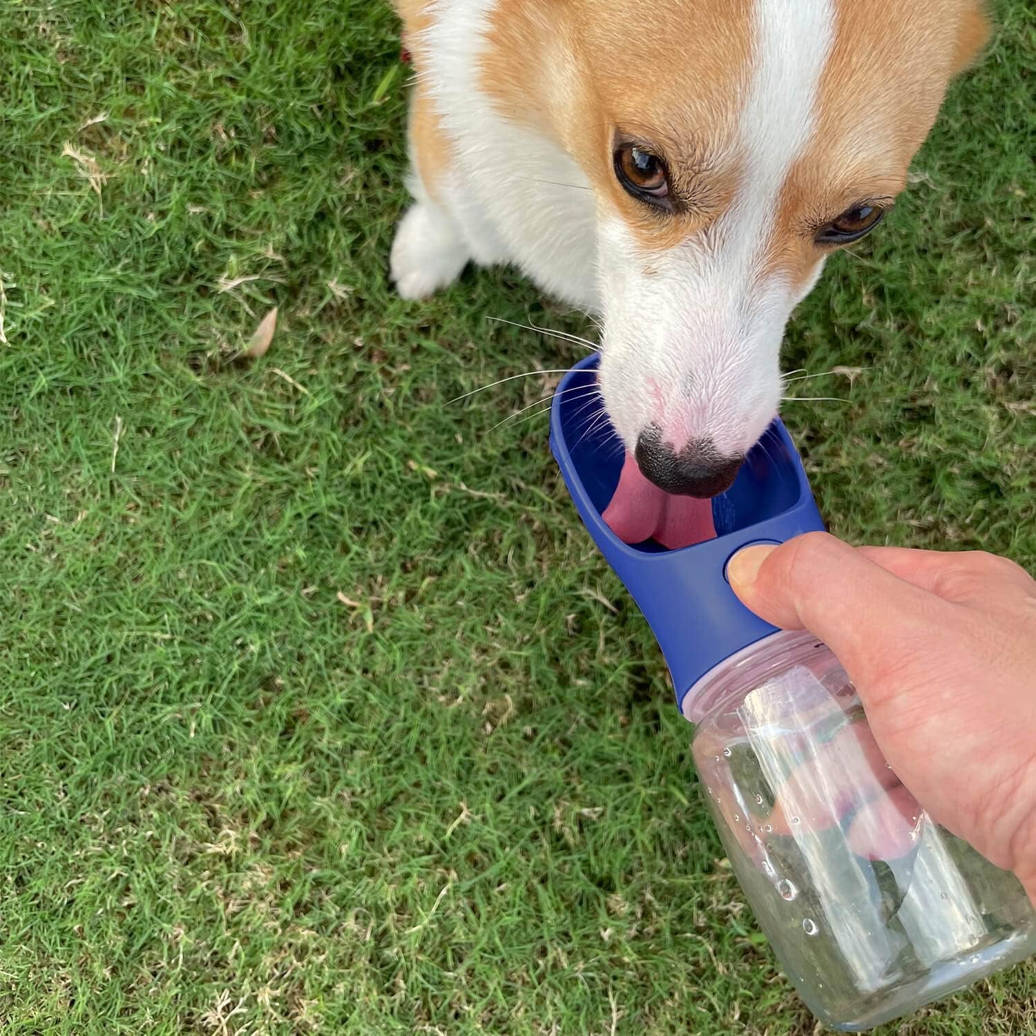  Leak Proof Puppy Water Dispenser
