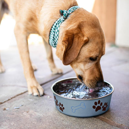 Stainless Steel Pet Bowl