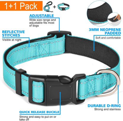Reflective Dog Collar +Leash