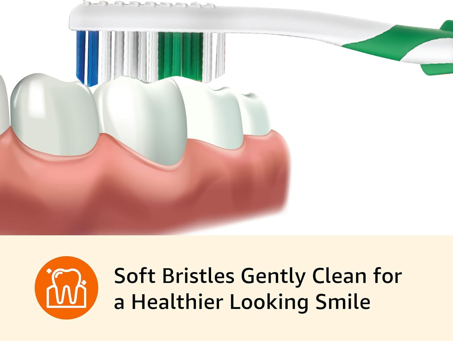 Clean plus Toothbrushes