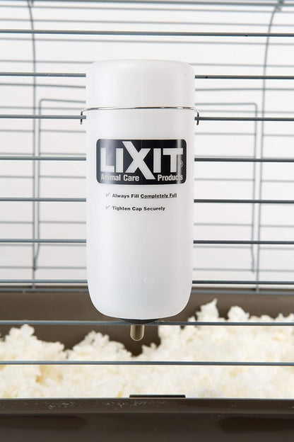 Pet Wide Mouth Water Bottle (16 Oz)