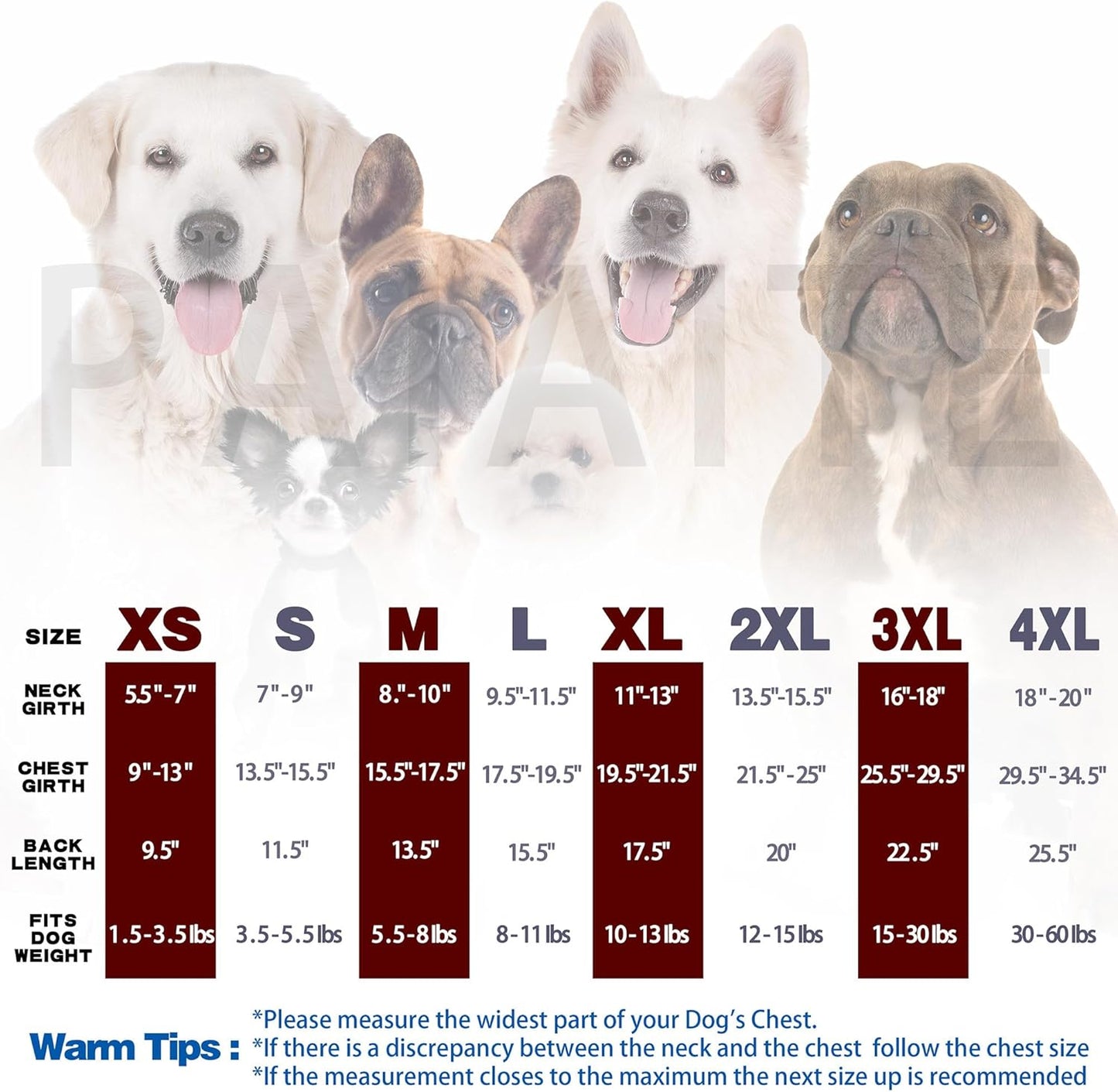 Sleek Solid-Colored Shirt