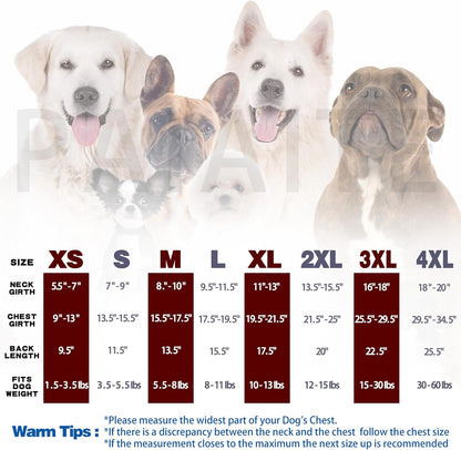 Sleek Solid-Colored Shirt