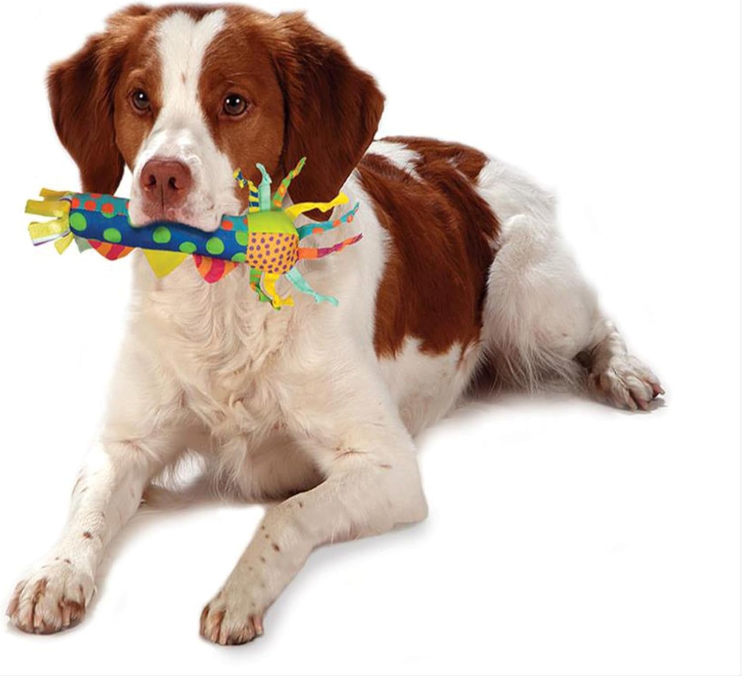 Cool Teething Stick for Dogs