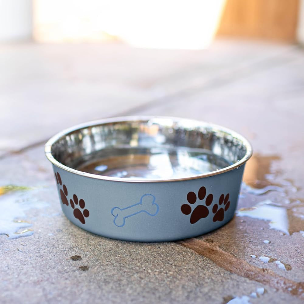 Stainless Steel Pet Bowl
