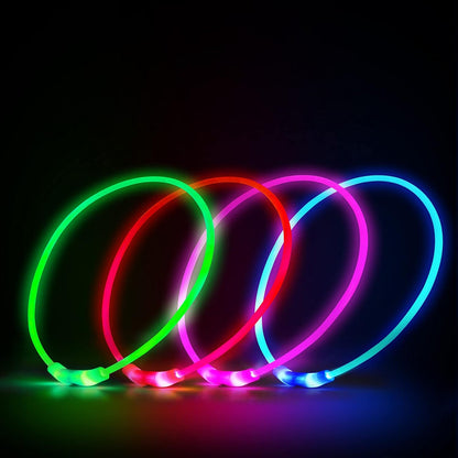 Waterproof Dog Lights