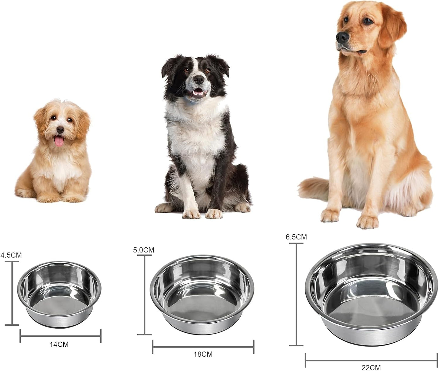 Anti-Slip Dog Bowls