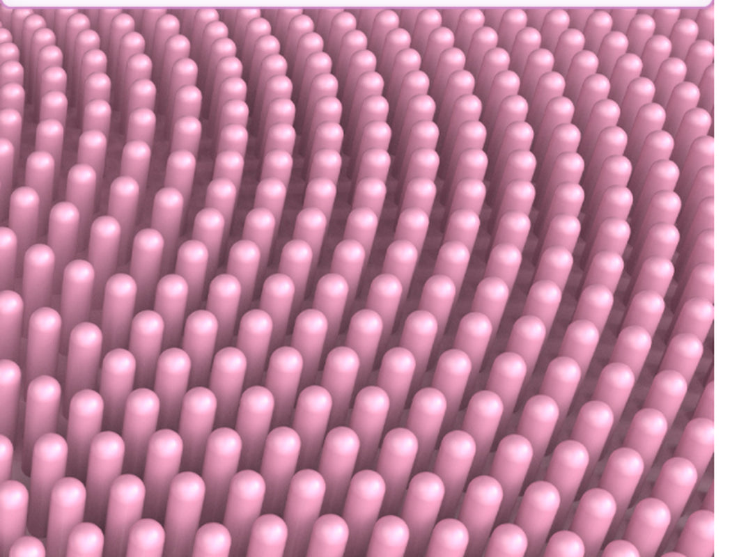 Electric Facial Cleanser