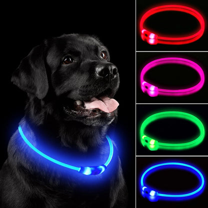 Waterproof Dog Lights