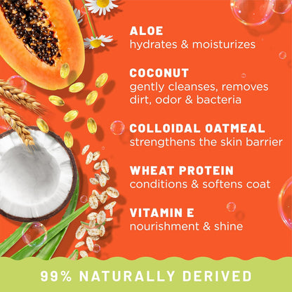 2-In-1 Shampoo and Conditioner