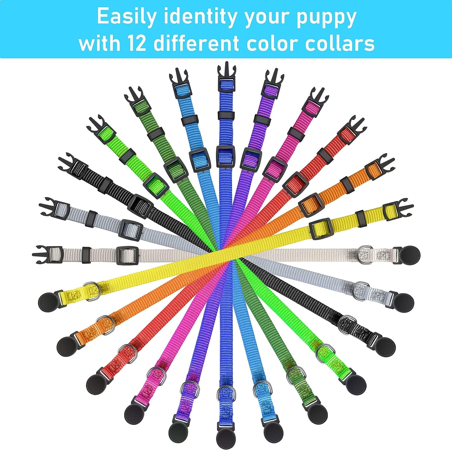 Adjustable Litter Collars Pups 