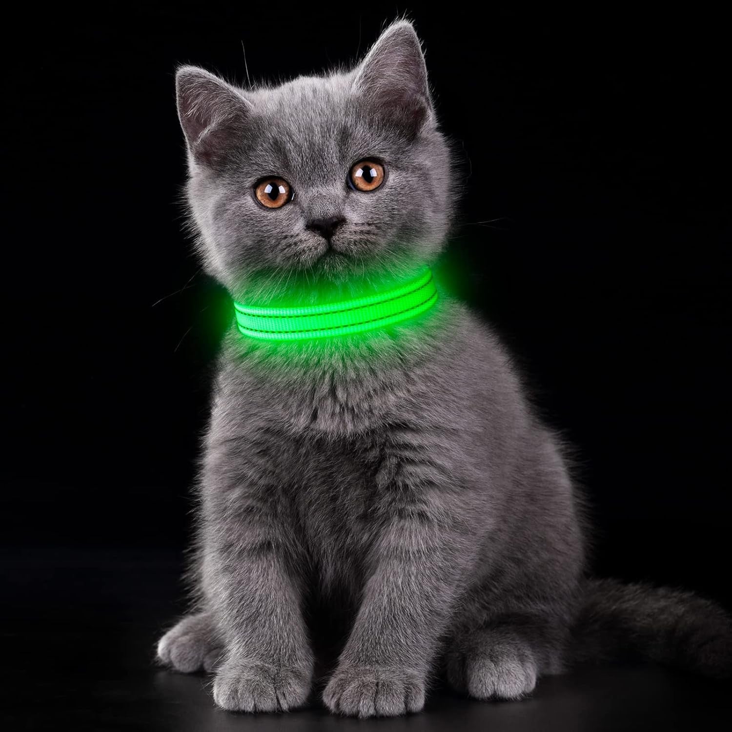  Rechargeable LED Dog Collar
