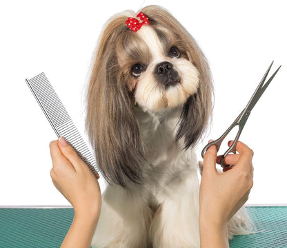 Dog Combs for Grooming