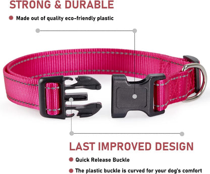 Reflective Dog Collar with Adjustable Buckle 