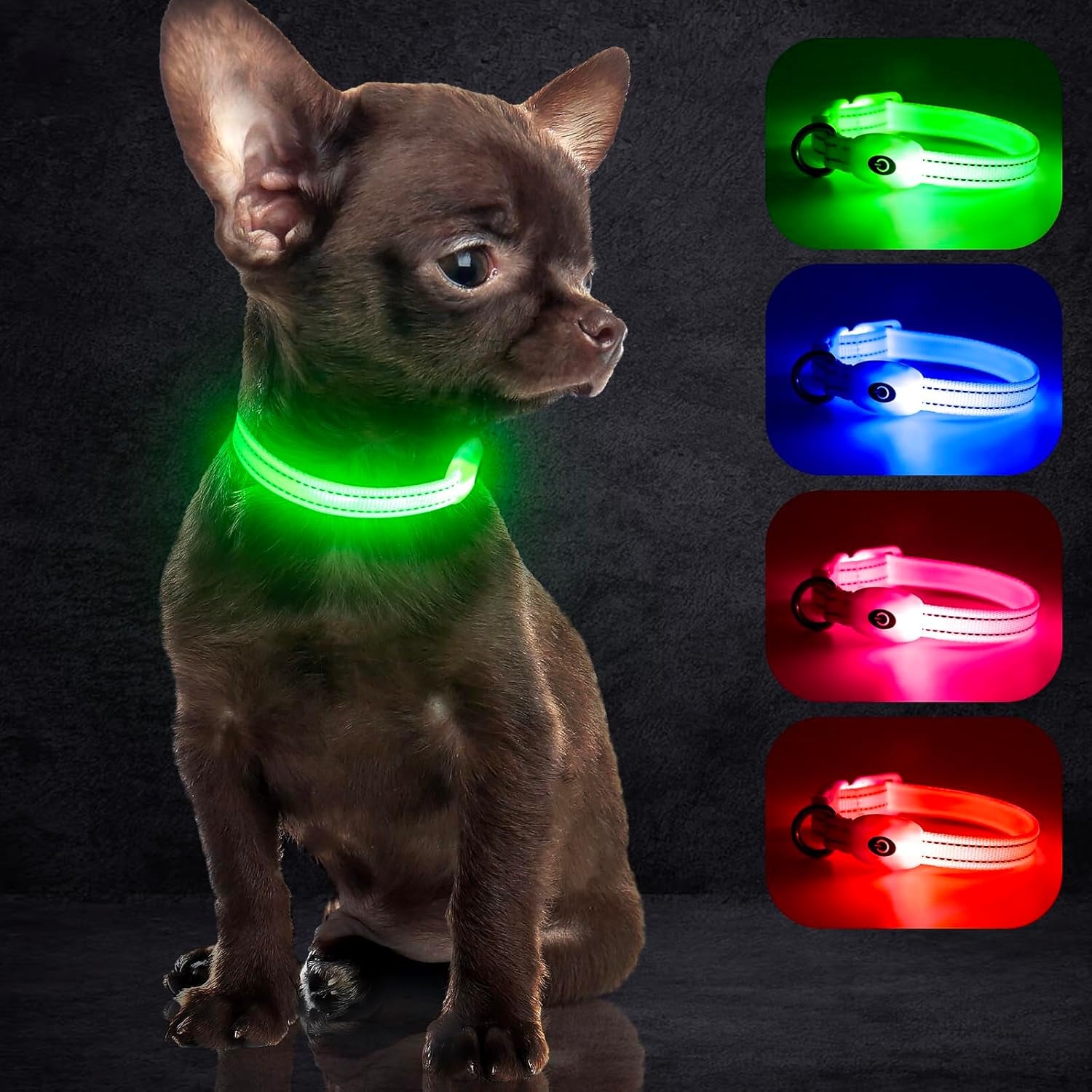  Rechargeable LED Dog Collar