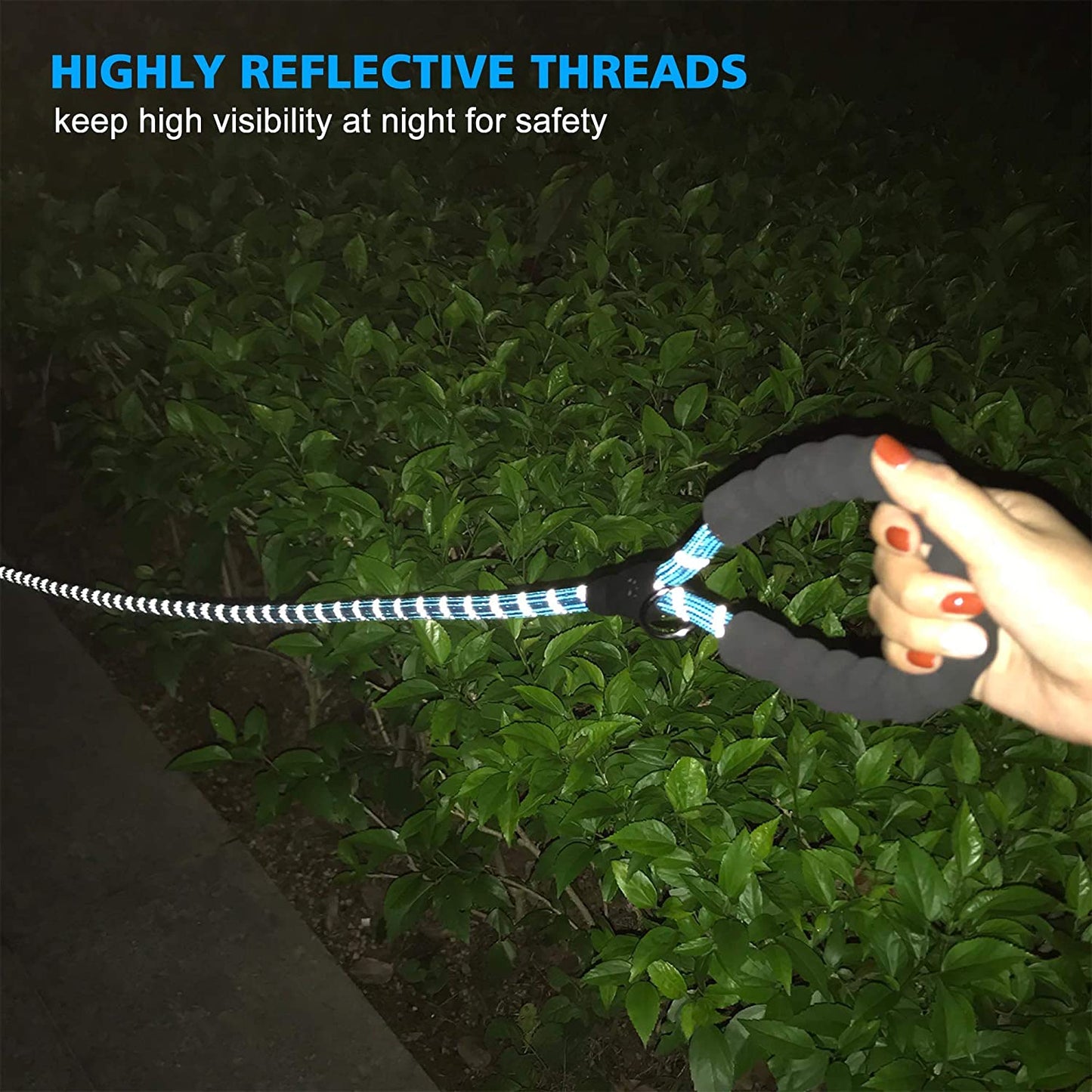 Reflective Dog Collar +Leash