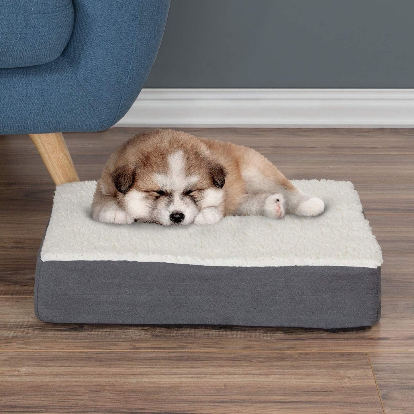 Orthopedic Dog Bed 