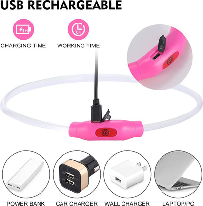 Waterproof Dog Lights