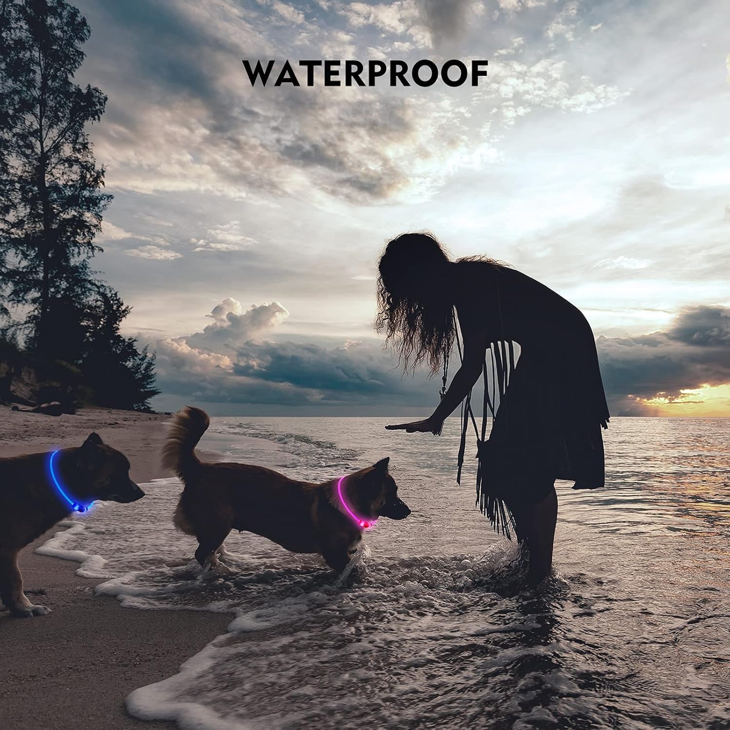 Waterproof Dog Lights