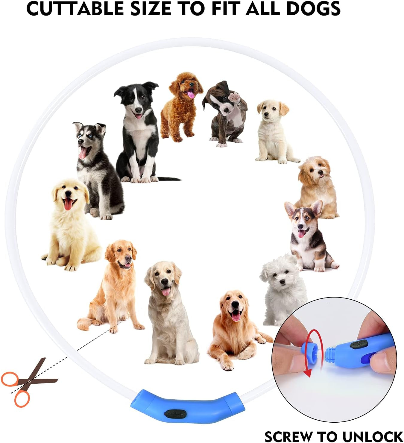 Waterproof Dog Lights