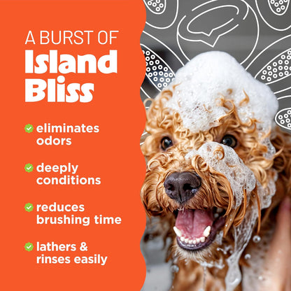 2-In-1 Shampoo and Conditioner