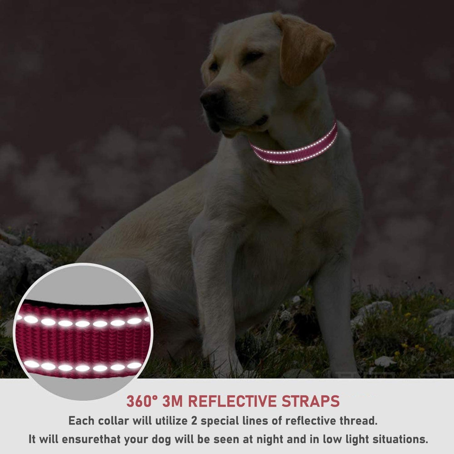 Reflective Dog Collar with Adjustable Buckle 