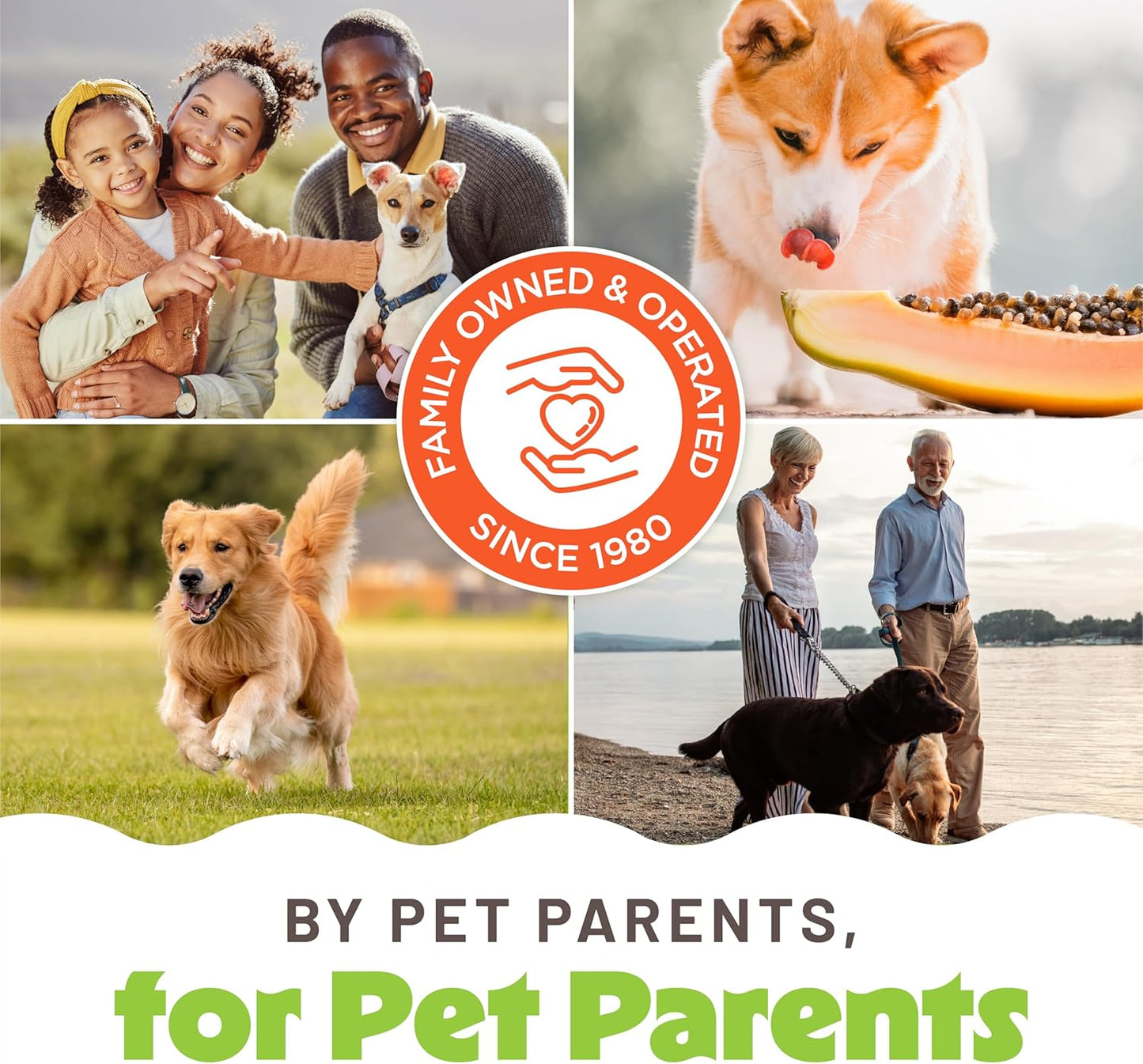 2-In-1 Shampoo and Conditioner